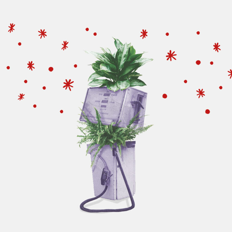 EDITORIAL: Una crisis con implicaciones más allá de lo ecológico